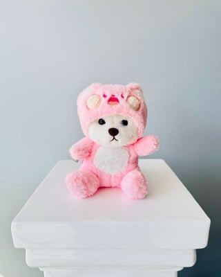 Pink Tina Teddy 27cm