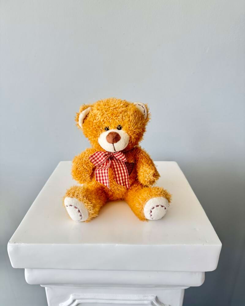 Cute Brown Teddy 20cm